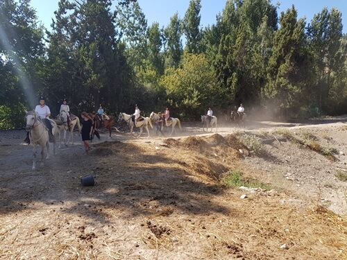 חוות סוסים נוף הרים בגליל